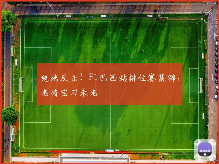 绝地反击!F1巴西站排位赛集锦,老将宝刀未老