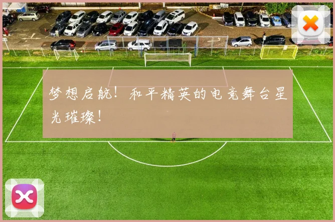 梦想启航！和平精英的电竞舞台星光璀璨！